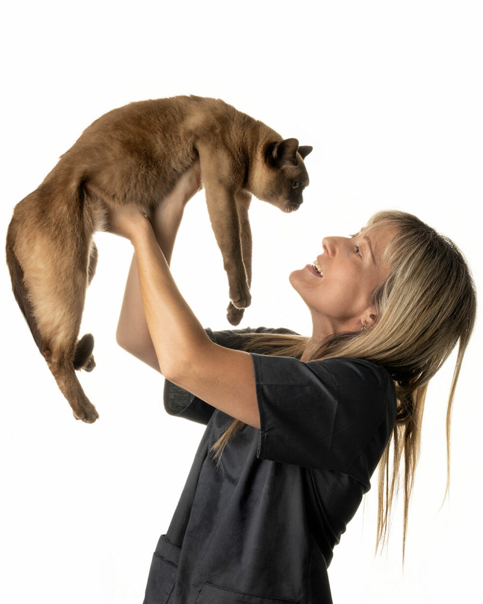 Meet the Team Enfield Vet Hospital