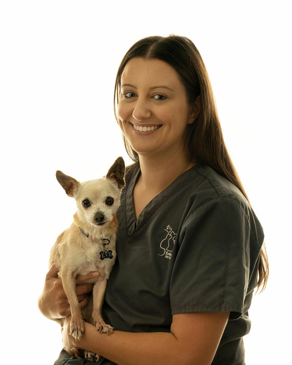 Meet the Team - Enfield Vet Hospital