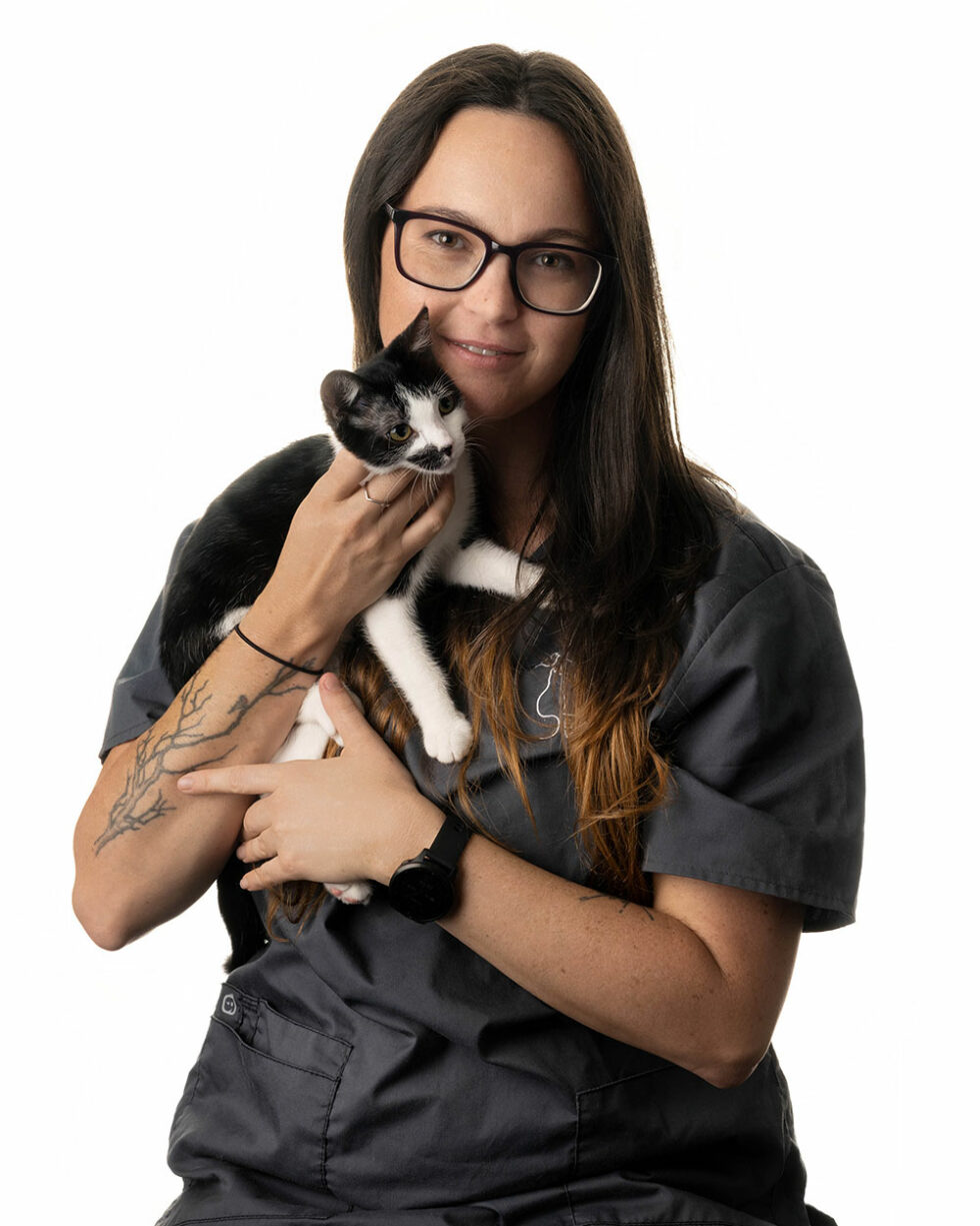 Meet the Team Enfield Vet Hospital