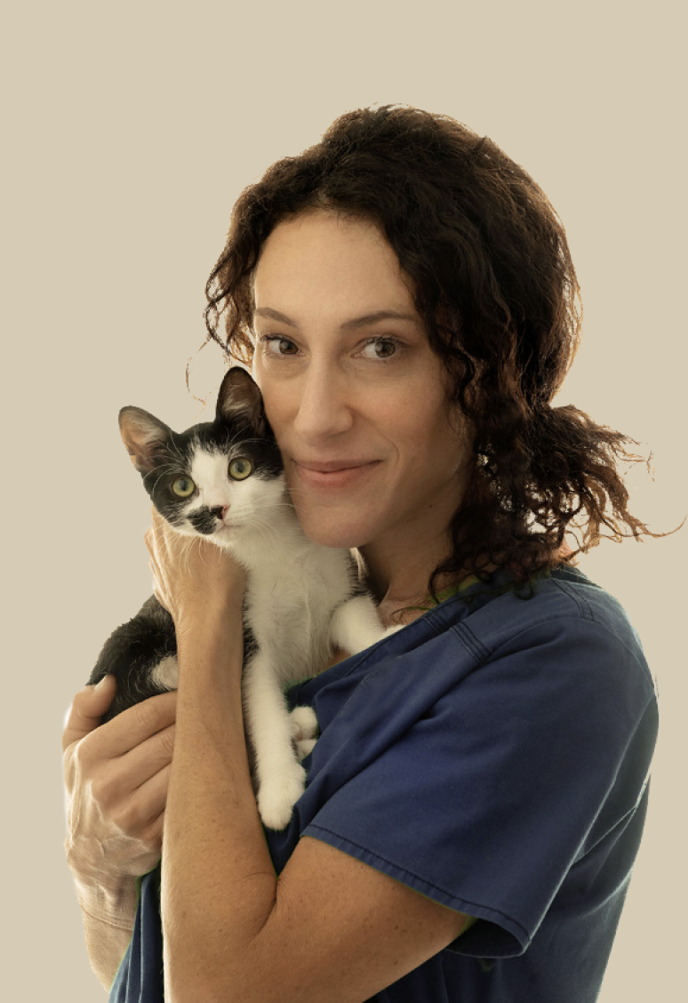 Vet Burwood Enfield Vet Hospital